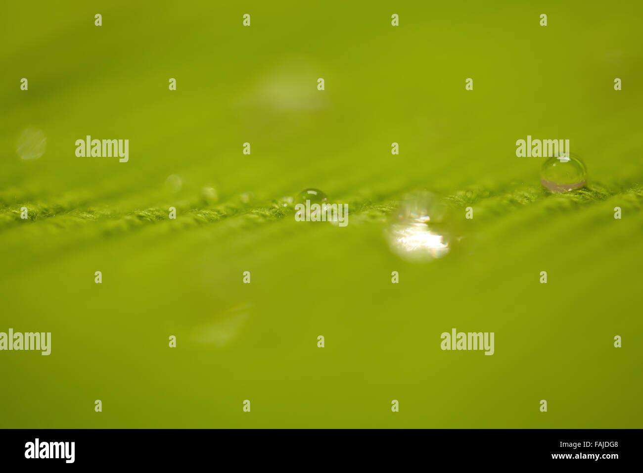 Macro Water Drop on a green cloth Stock Photo - Alamy