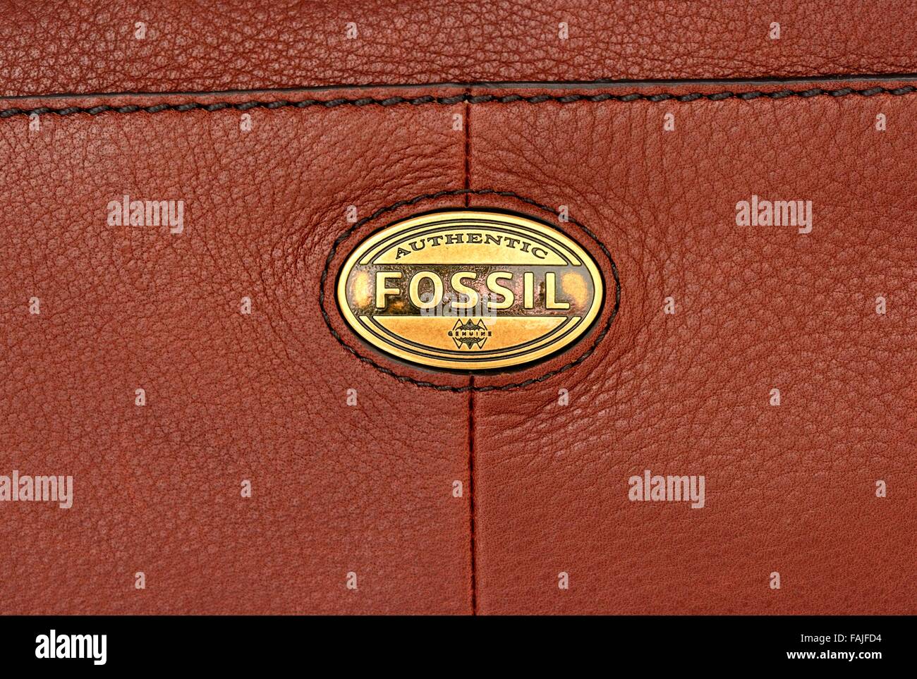 Authentic fossil outlet