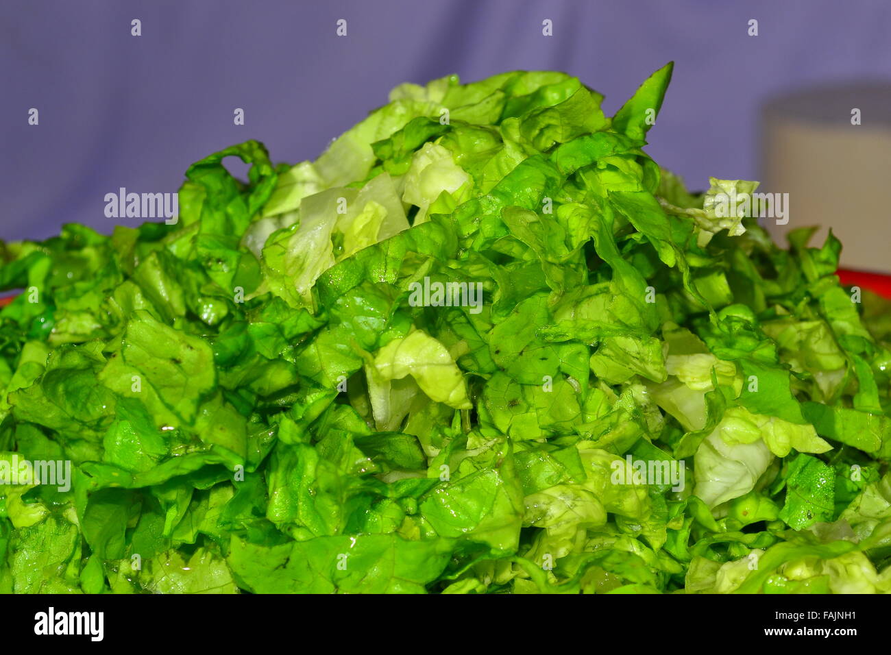 Shred lettuce presented on a tray Stock Photo