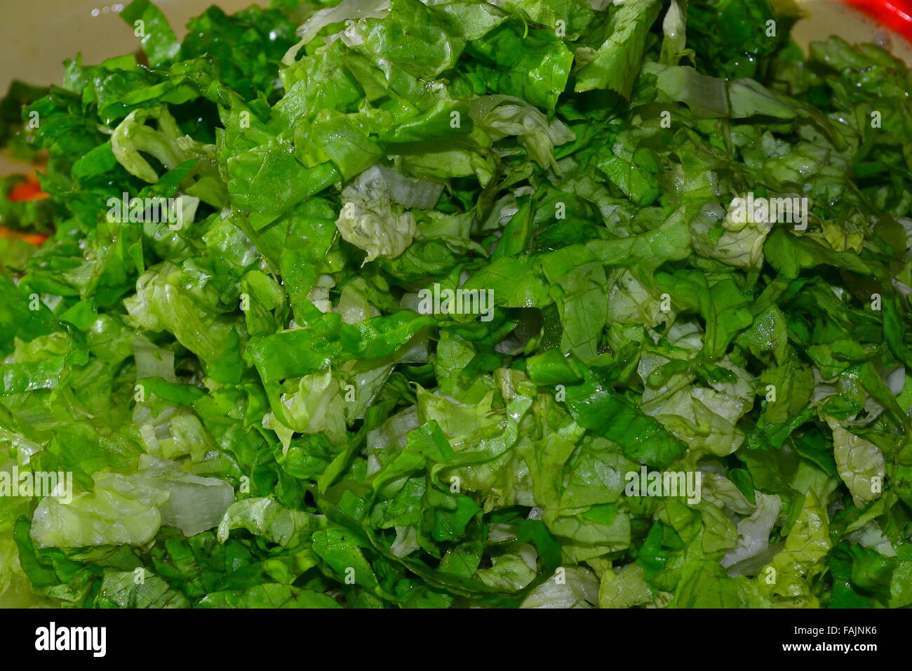 Shred lettuce presented on a tray Stock Photo
