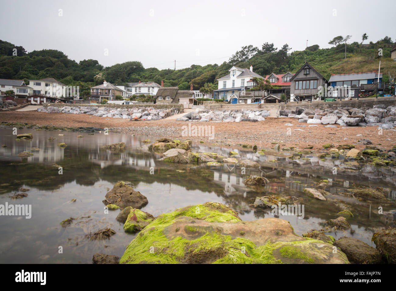 Steephill Cove a small seaside village on the Isle of Wight UK Stock Photo