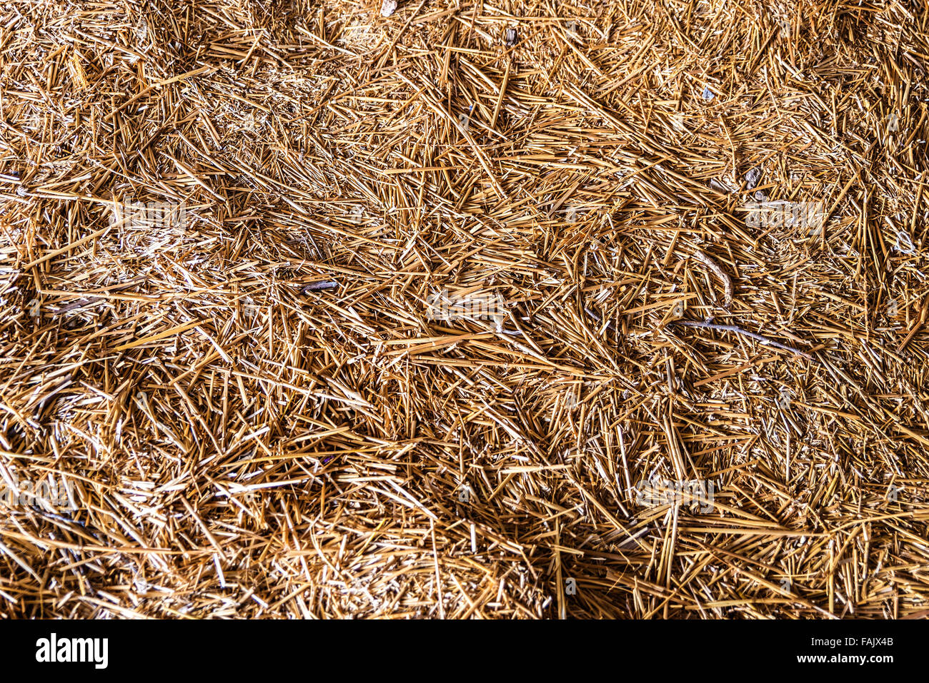 Bed made of straw in a barn Stock Photo