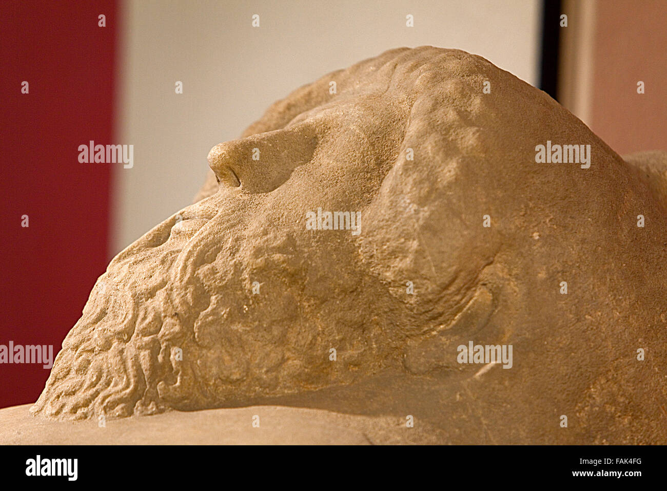 Antropomor Hi res Stock Photography And Images Alamy
