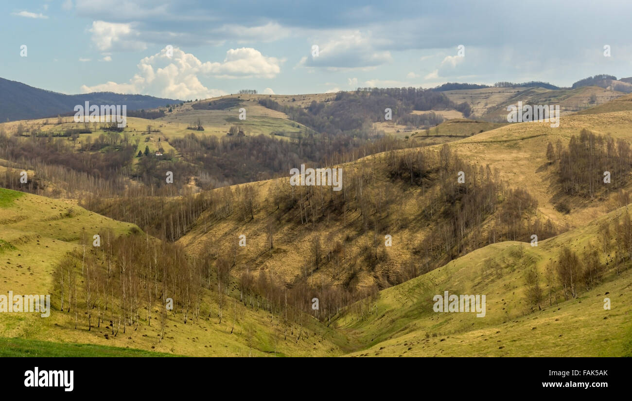 Hills with blooming trees in the spring in a nice cloudy day Stock ...