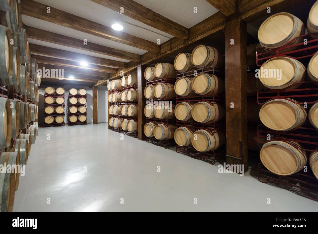 Interior of contemporary winery with wooden barrels Stock Photo - Alamy