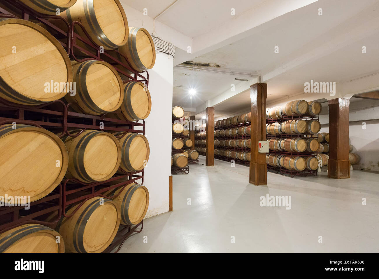 Rows with many wooden barrels in winery Stock Photo - Alamy