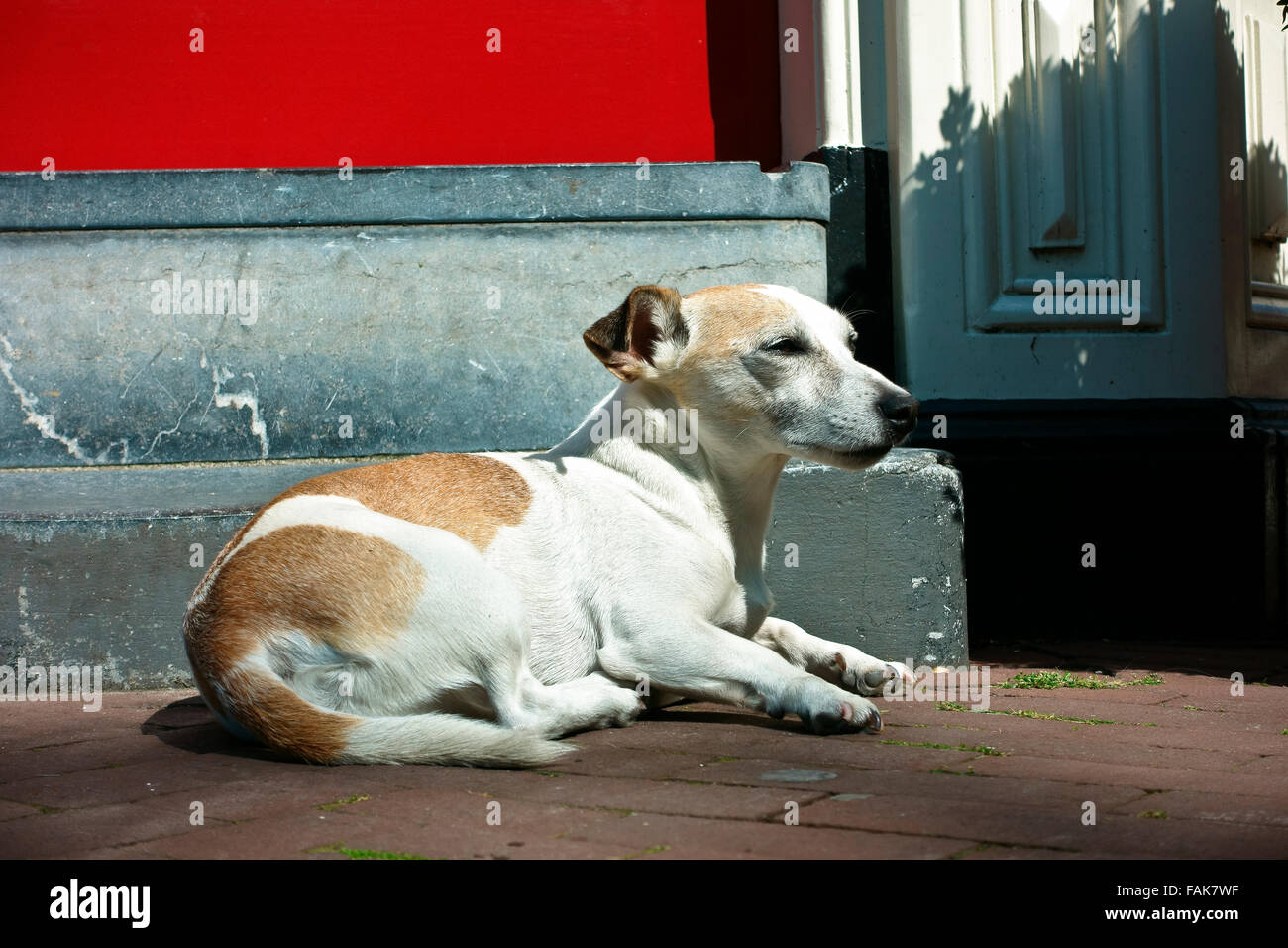 Prone mans face hi-res stock photography and images - Alamy