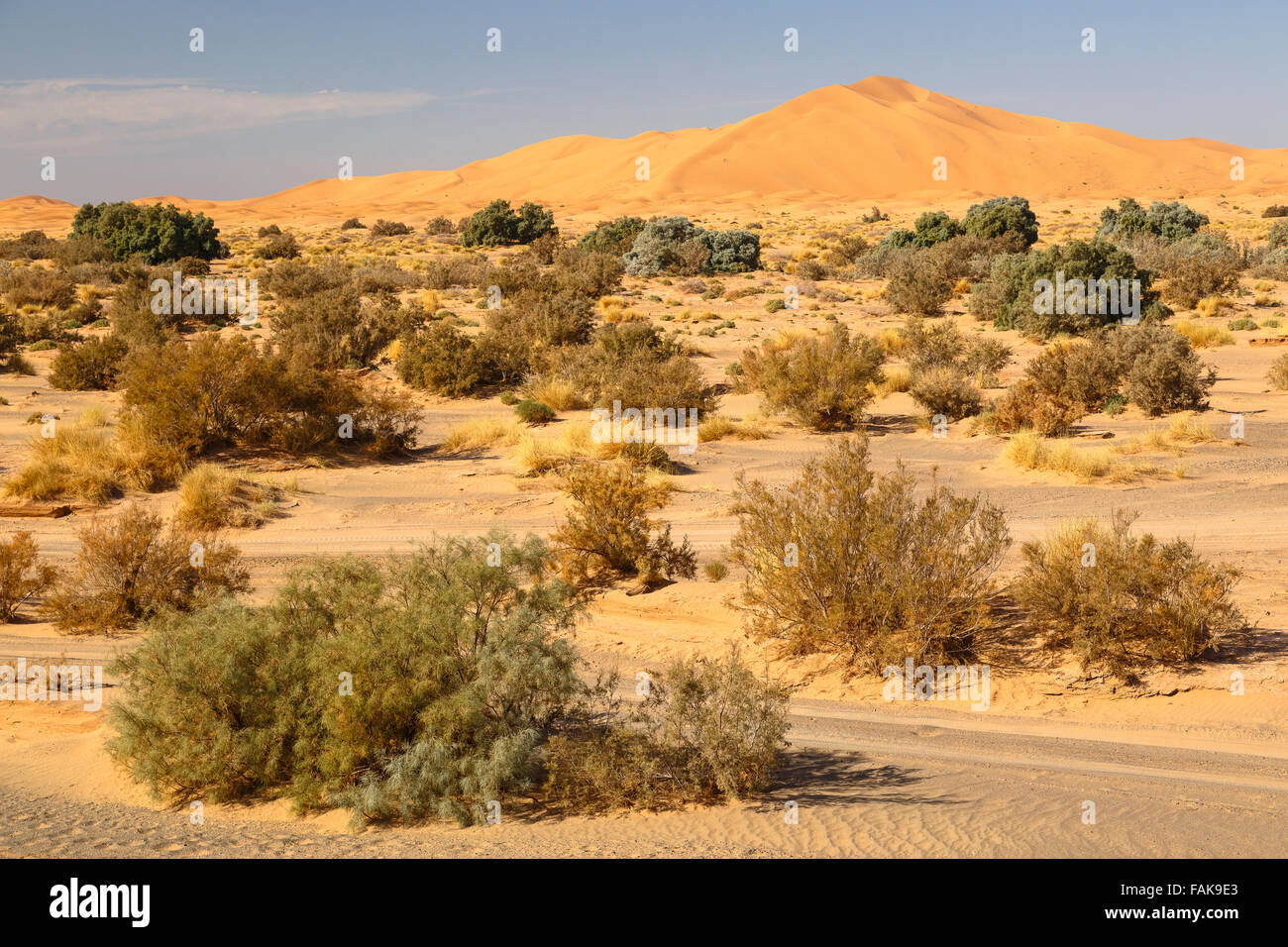 Merzouga dunes. Erg Chebbi. Morocco. North Africa. Stock Photo