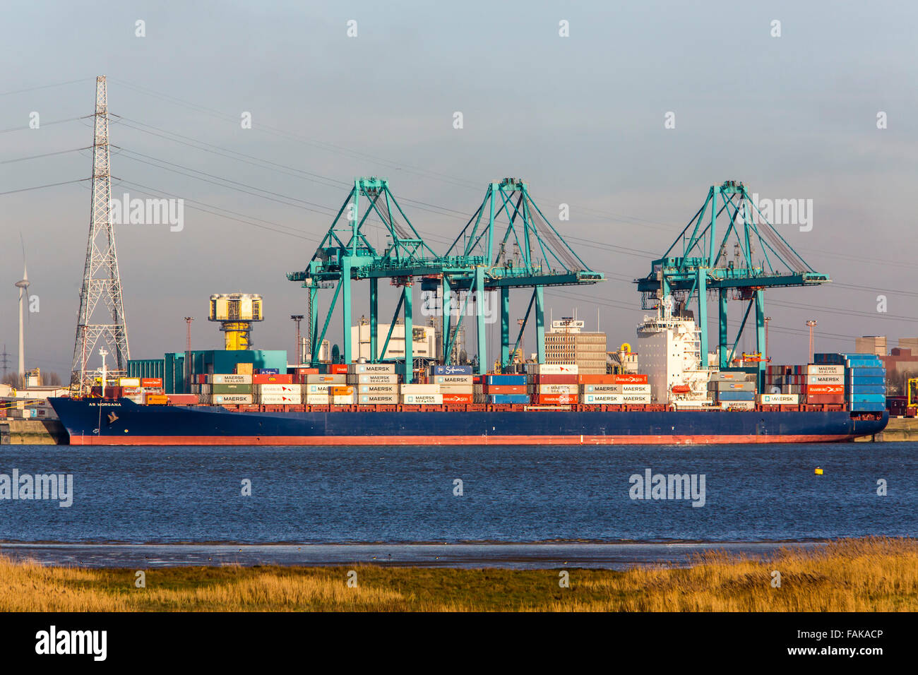 Industrial port of Antwerp, Belgium, cranes, freight ships Stock Photo