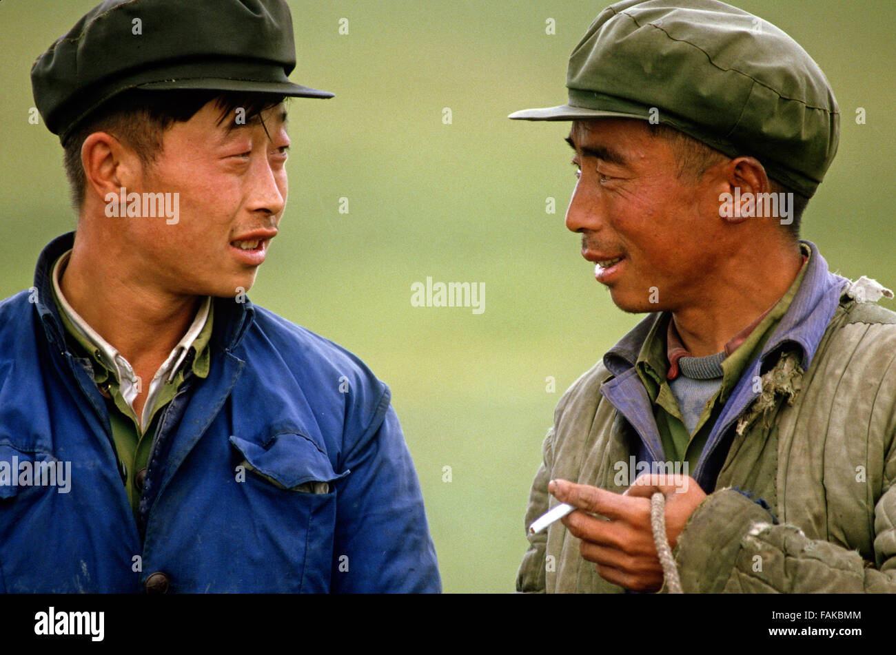 Inner Mongolia grasslands horse cowboys, Autonomous region of North China Stock Photo