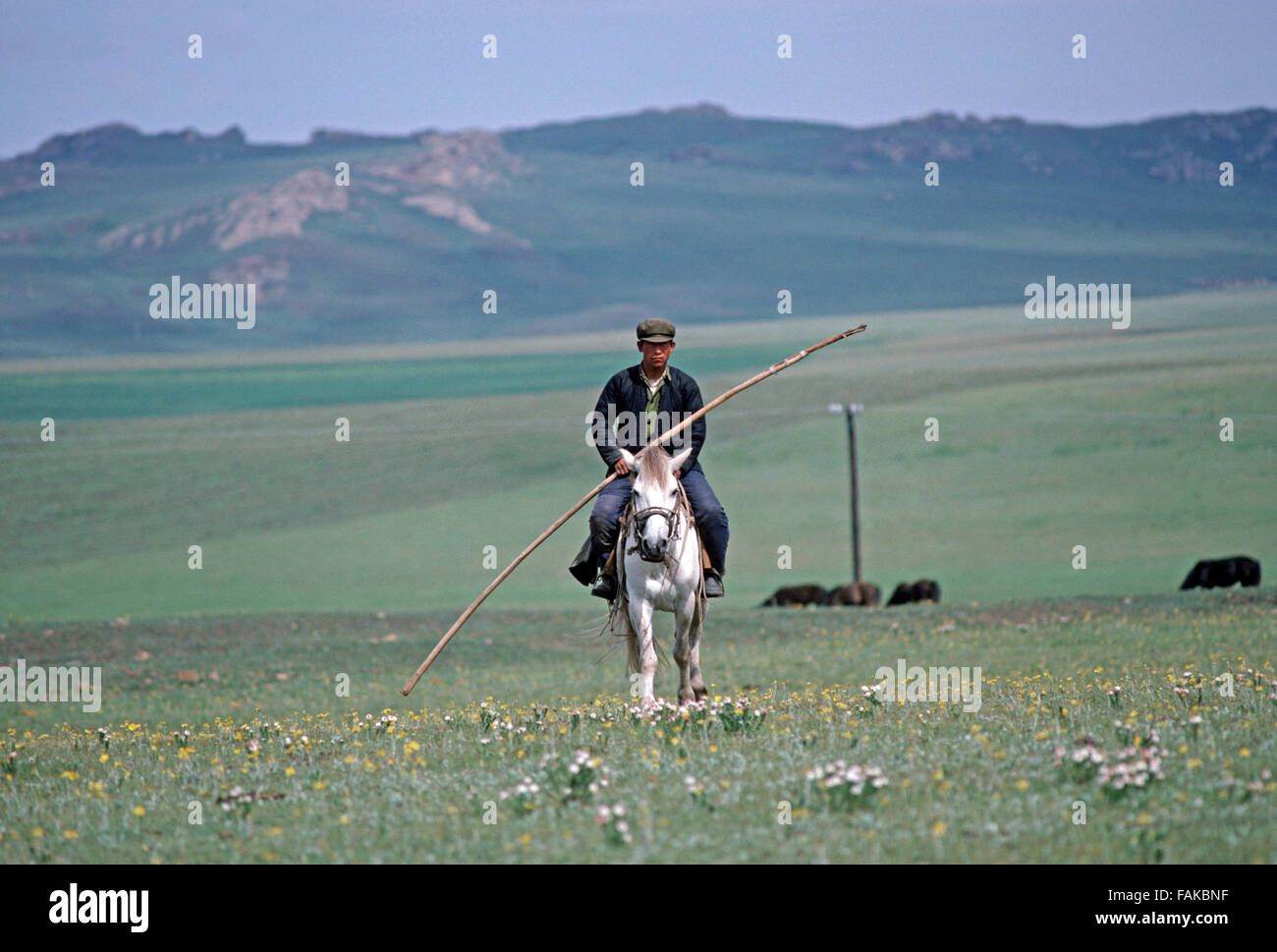 Inner Mongolia grasslands horse cowboys, Autonomous region of North China Stock Photo