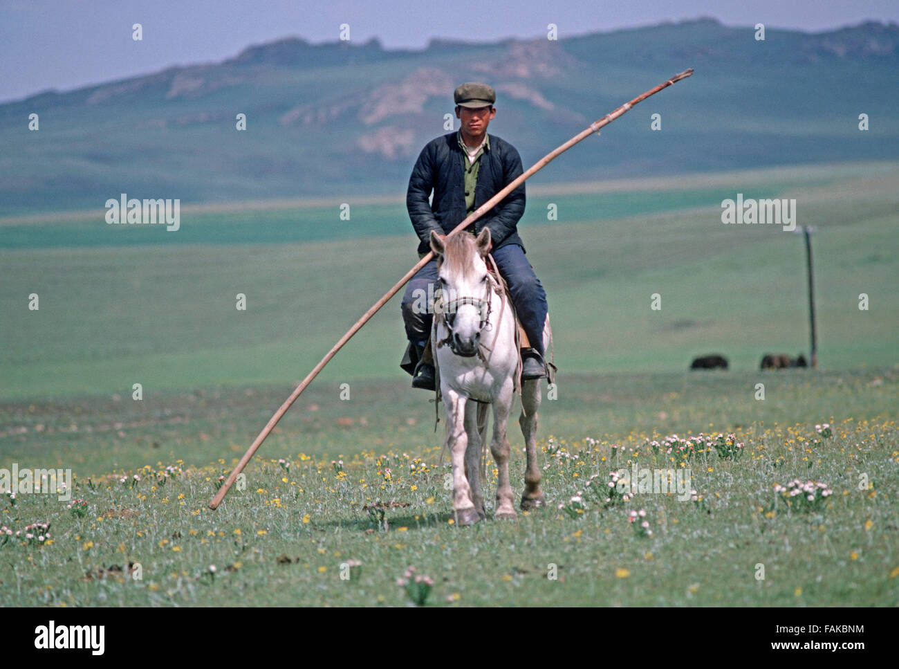 Inner Mongolia grasslands horse cowboys, Autonomous region of North China Stock Photo