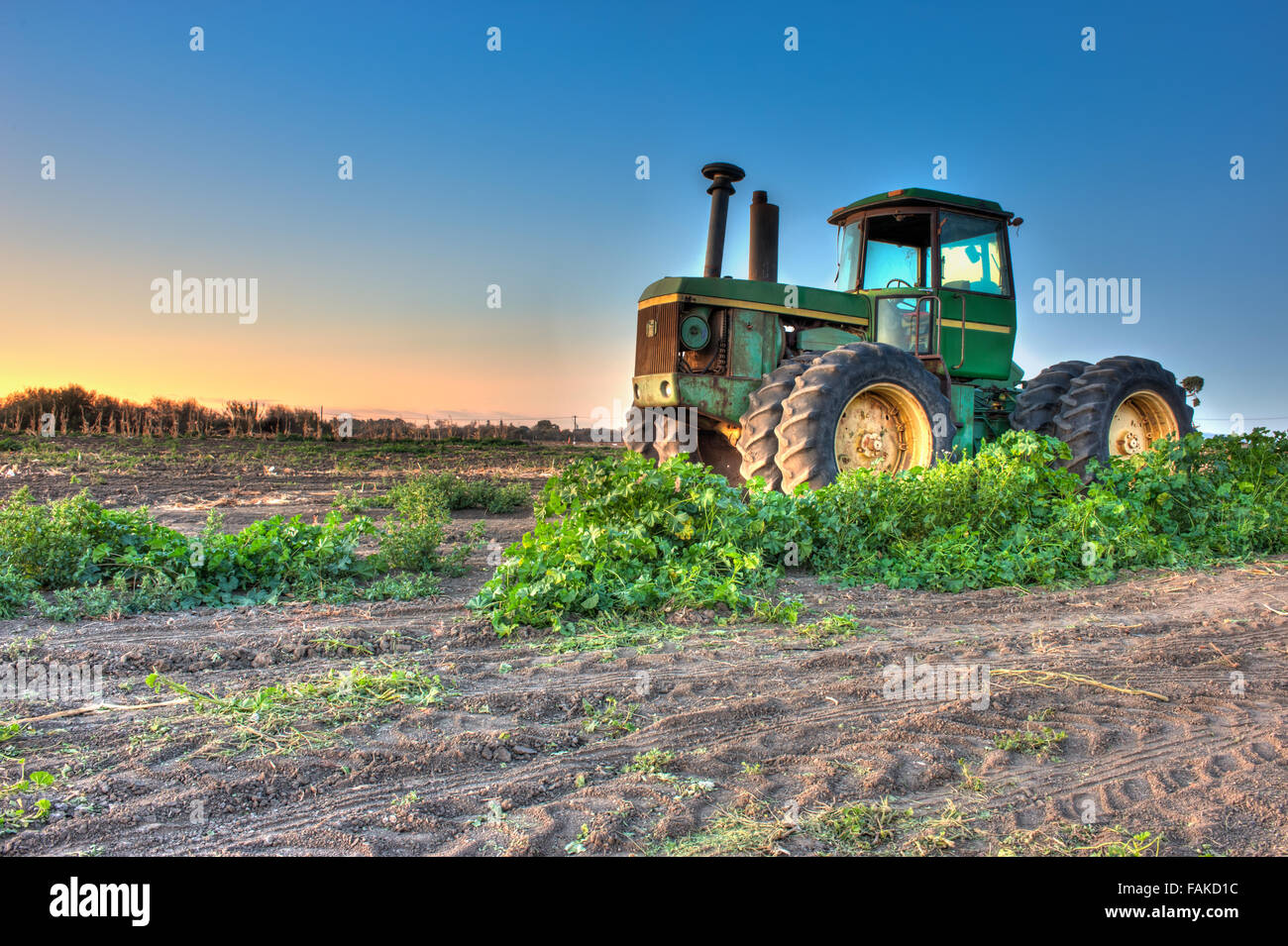 Full Of Weeds High Resolution Stock Photography and Images - Alamy
