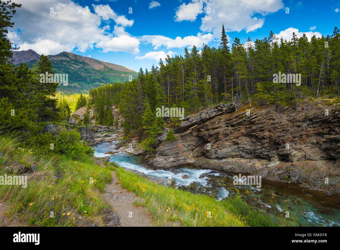 Scenic Mountain river and waterfalls, Waterton National Park Alberta