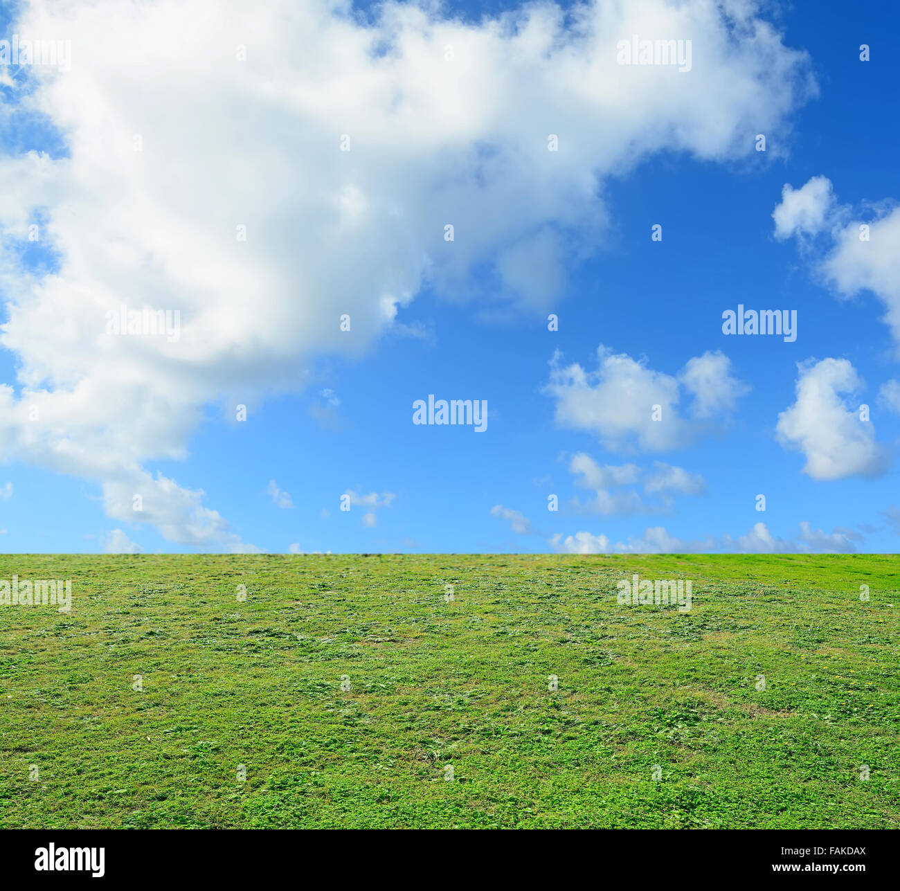 green field under a blue cloudy sky Stock Photo - Alamy