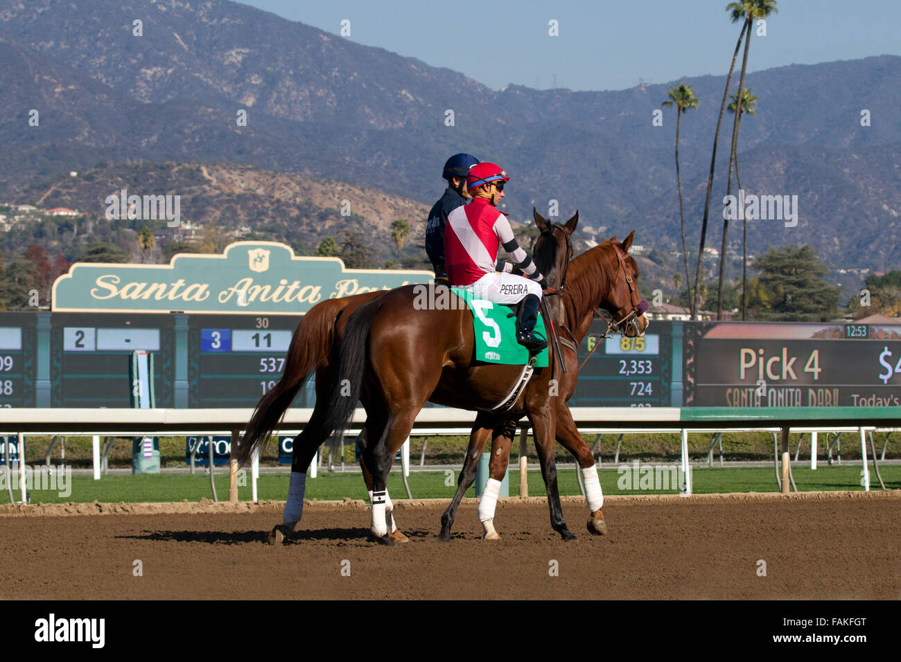 Horse racetrack outrider hires stock photography and images Alamy