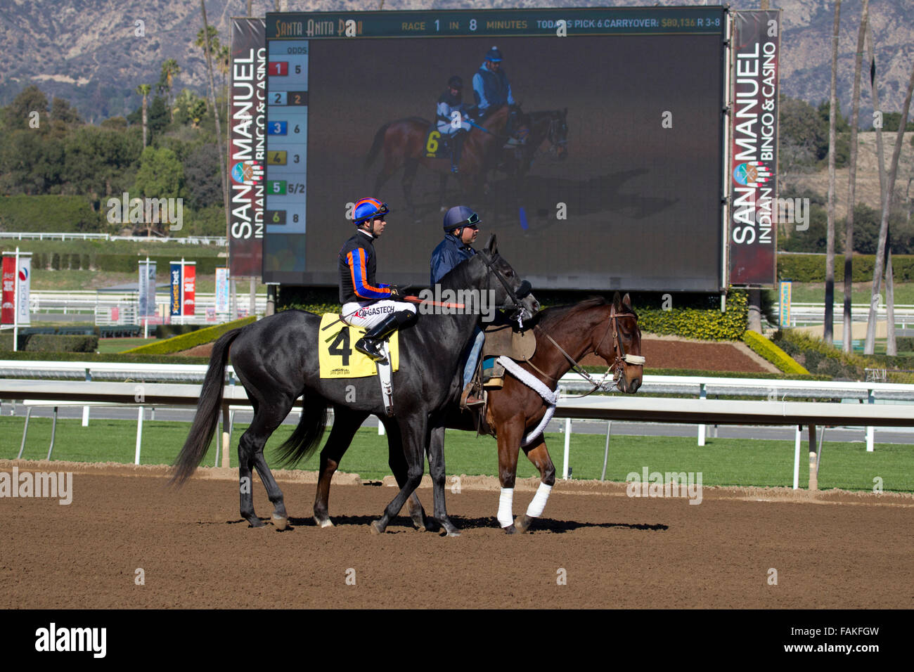 Horse racetrack outrider hires stock photography and images Alamy