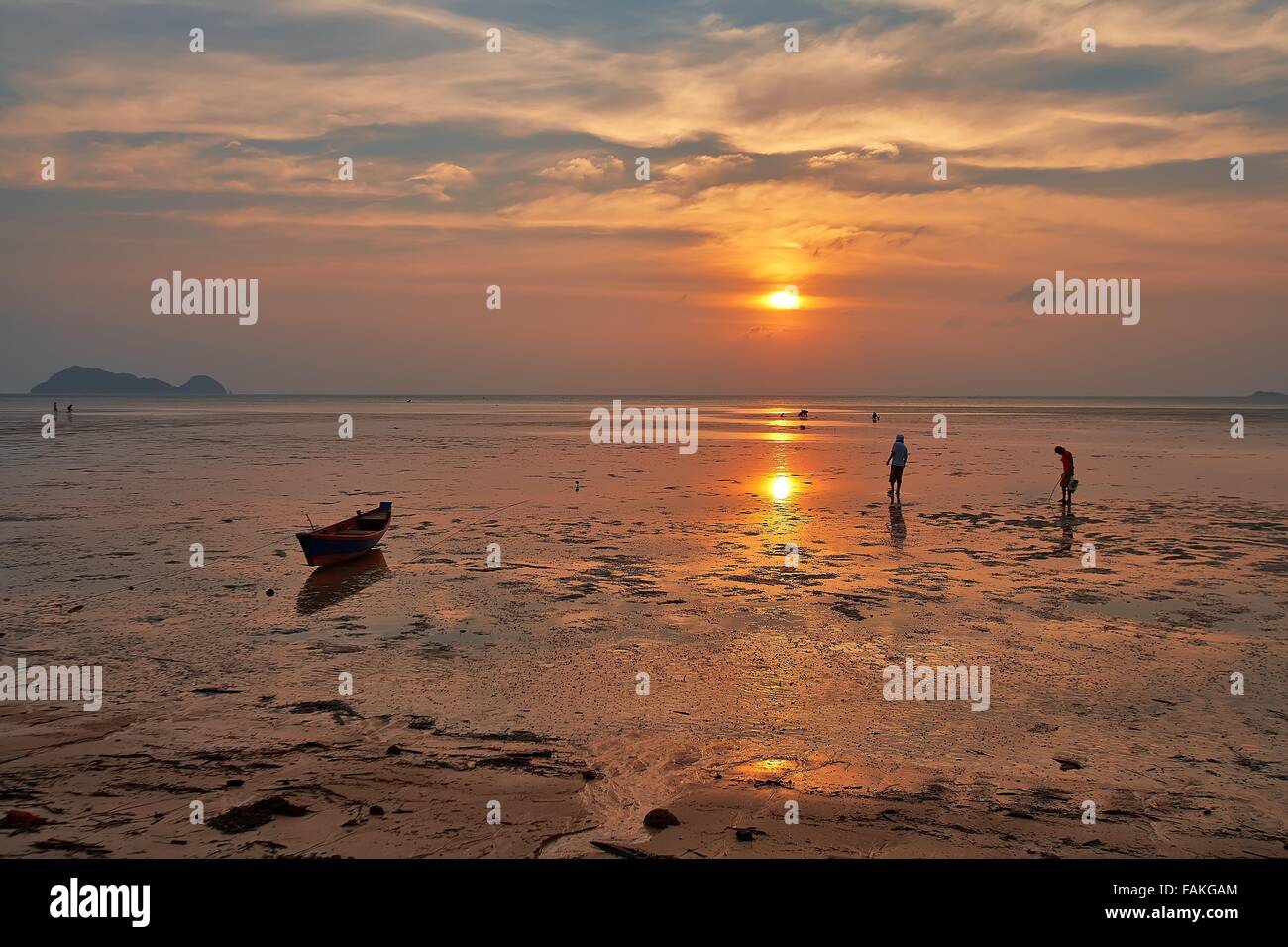 people collect shells after ebb in the ocean Stock Photo
