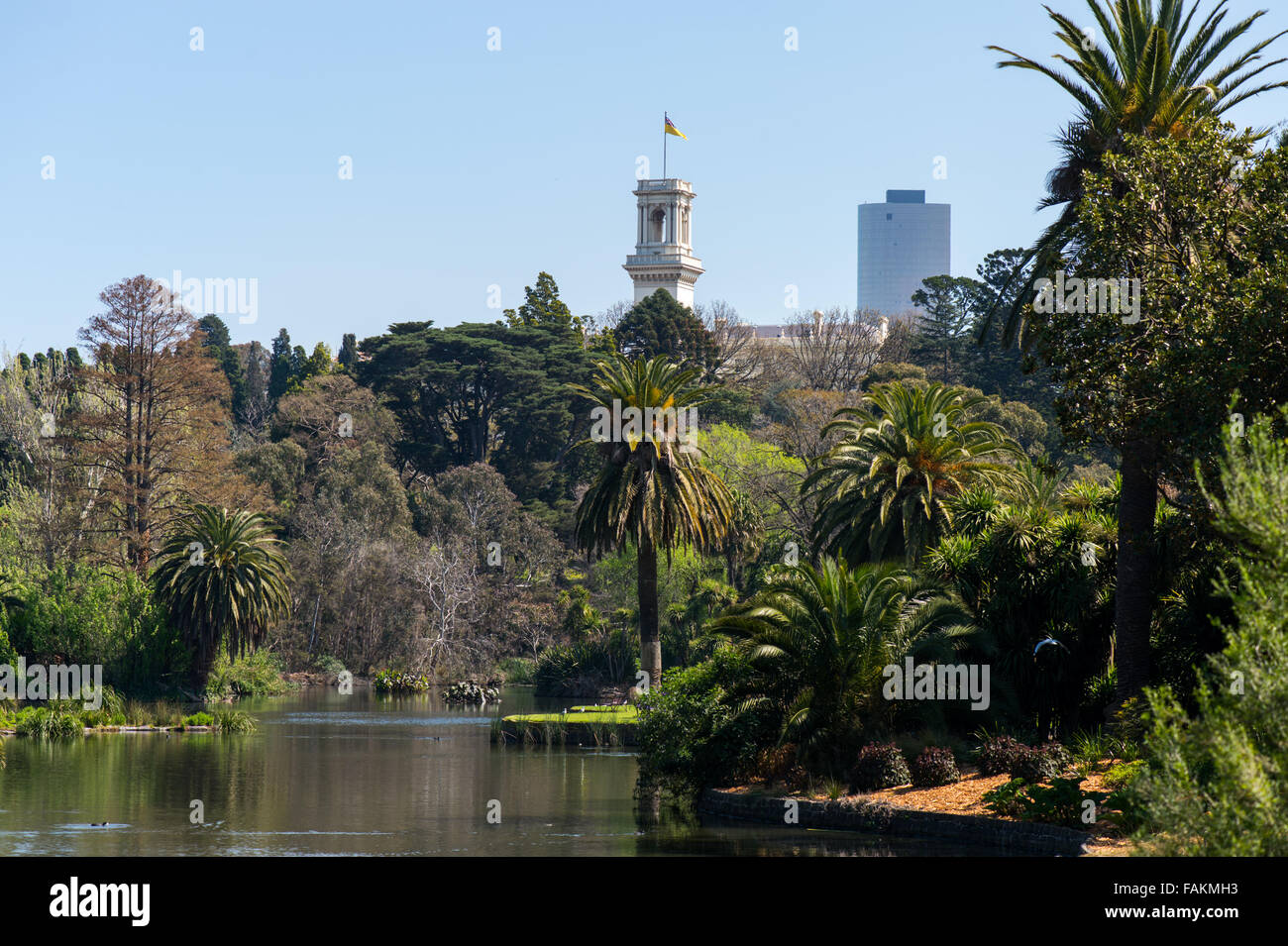 Melbourne botanic gardens. Stock Photo