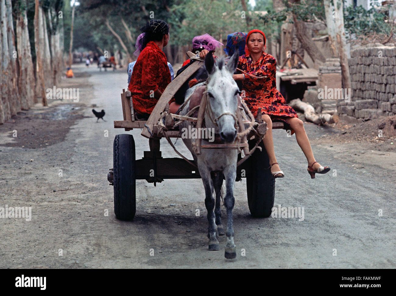 Horse and cart with Uyghur women, Turpan, Xinjiang Province, China Stock Photo