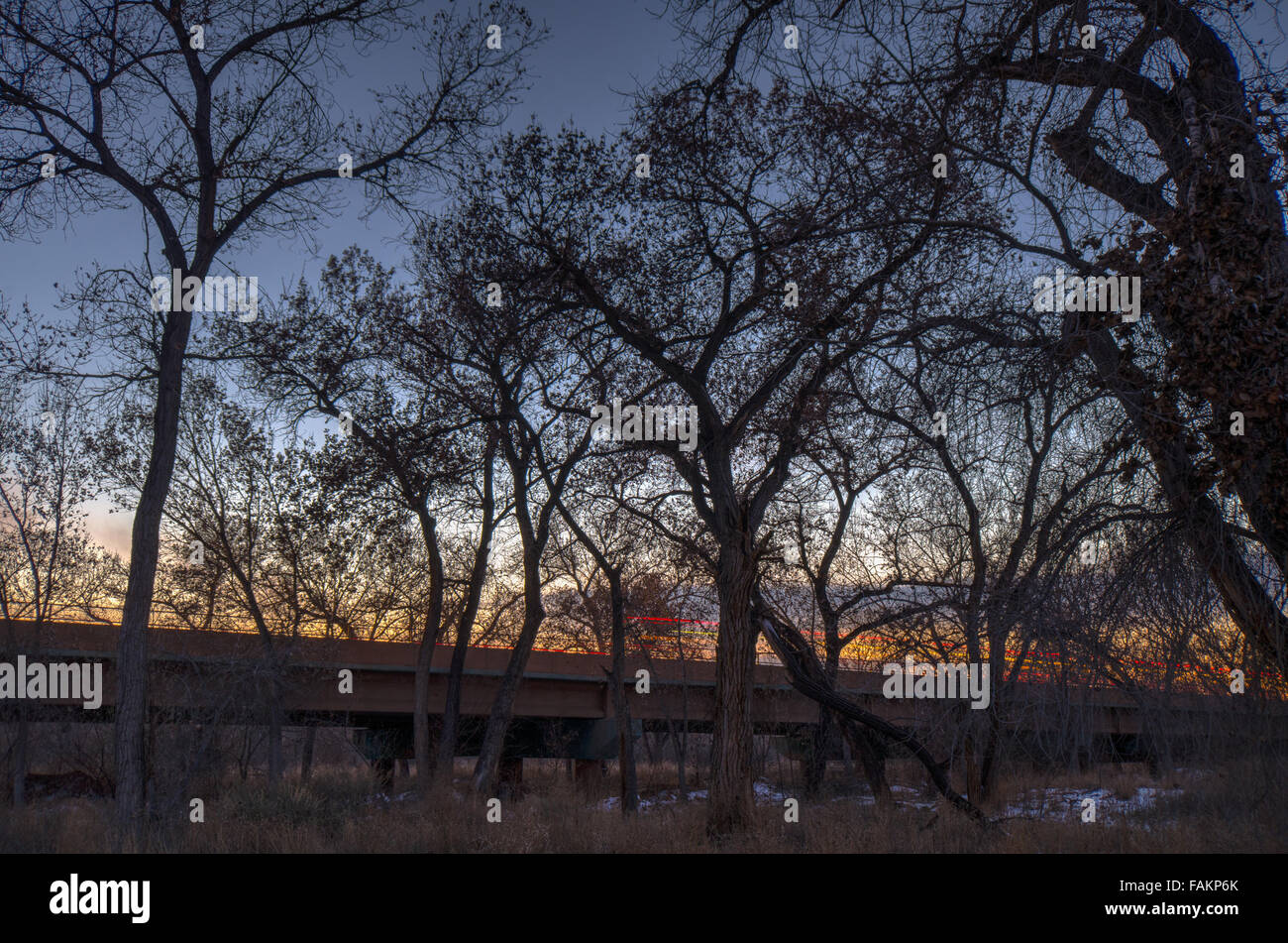Montano bridge from the Rio Grande bosque, Albuquerque, New Mexico, USA