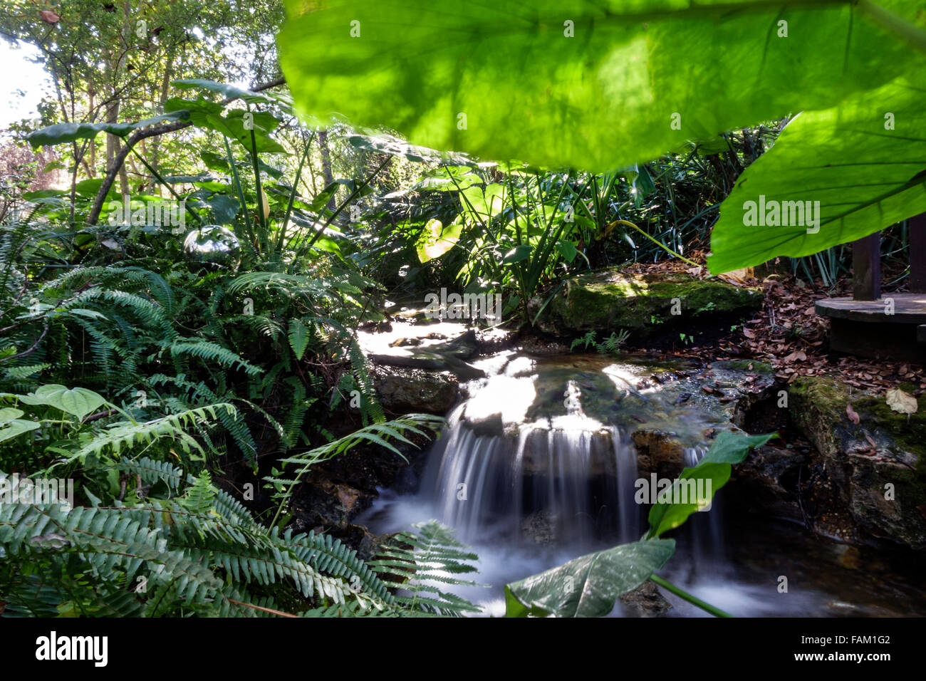 Gainesville Florida,Kanapaha Botanical Gardens,plants,trees,nature