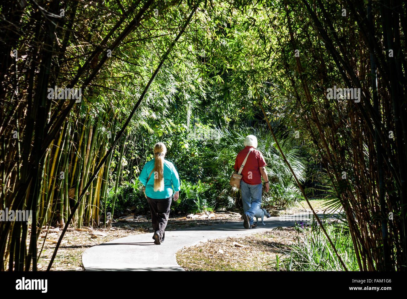 Gainesville Florida,Kanapaha Botanical Gardens,plants,trees,nature