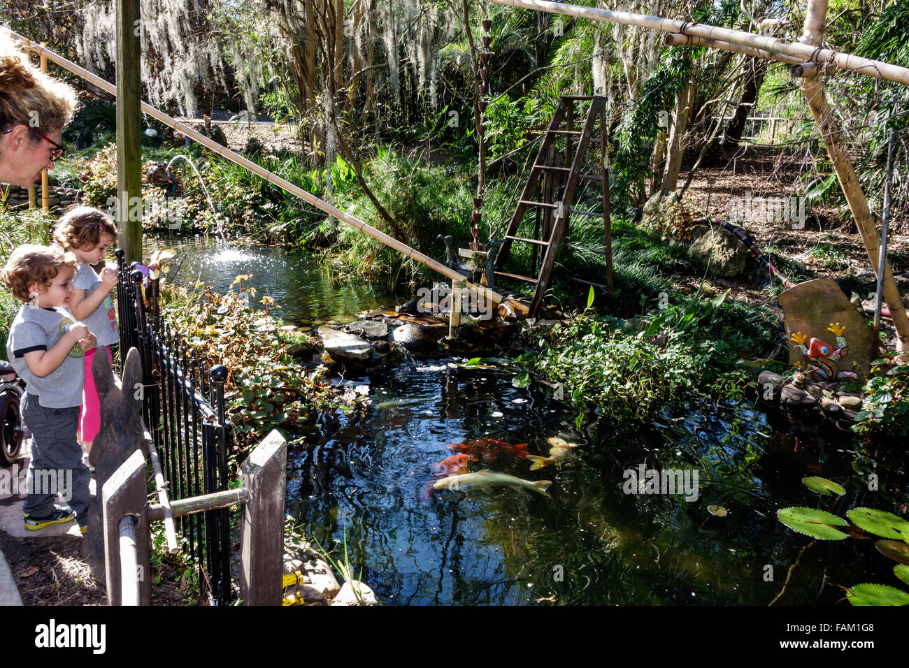 Gainesville Florida Kanapaha Botanical Gardens Plants Trees Nature