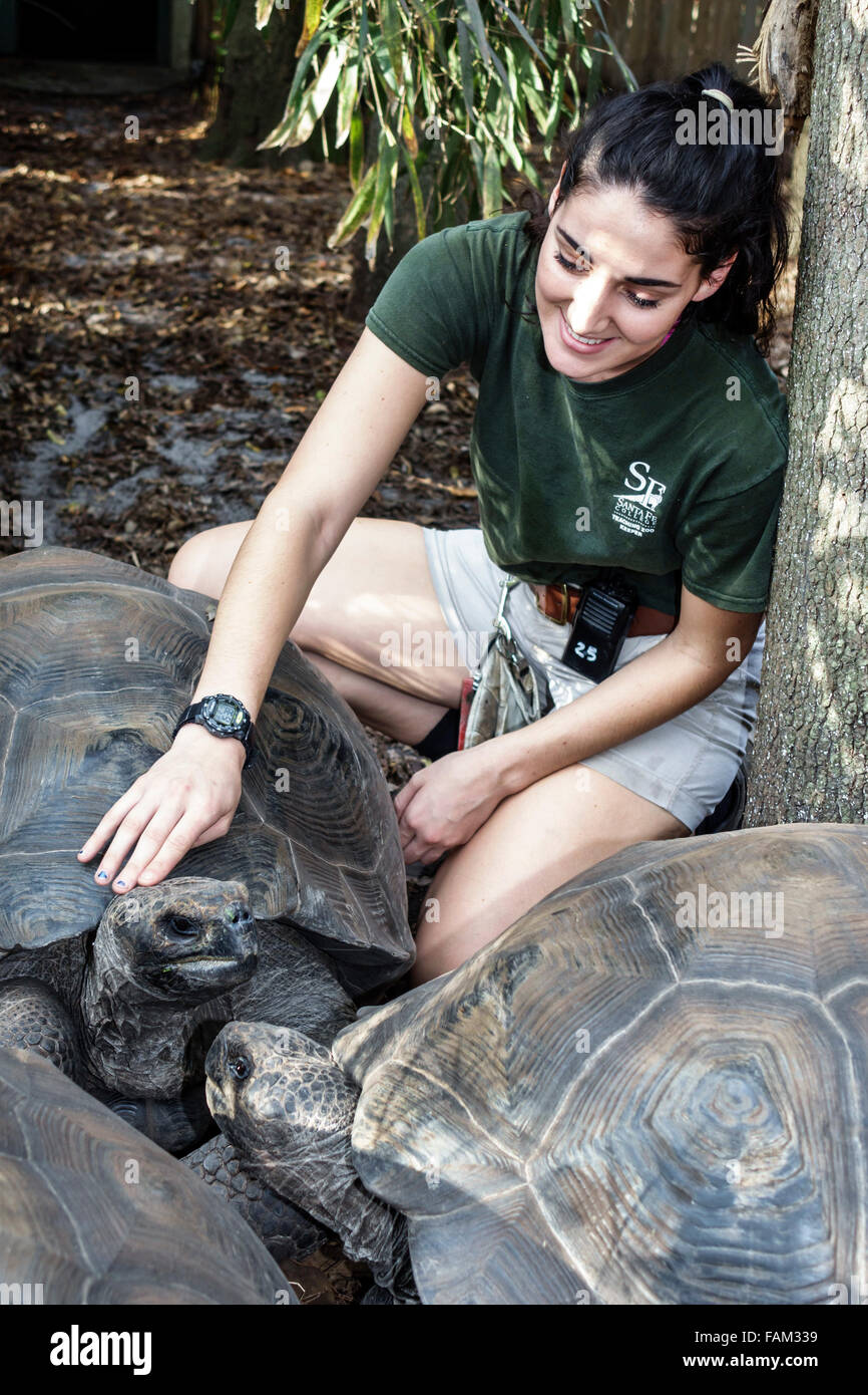 Gainesville Florida,Santa Fe College Teaching Zoo,Galapagos tortoise,Chelonoidis nigra,student students education pupil pupils,teen teens teenage teen Stock Photo