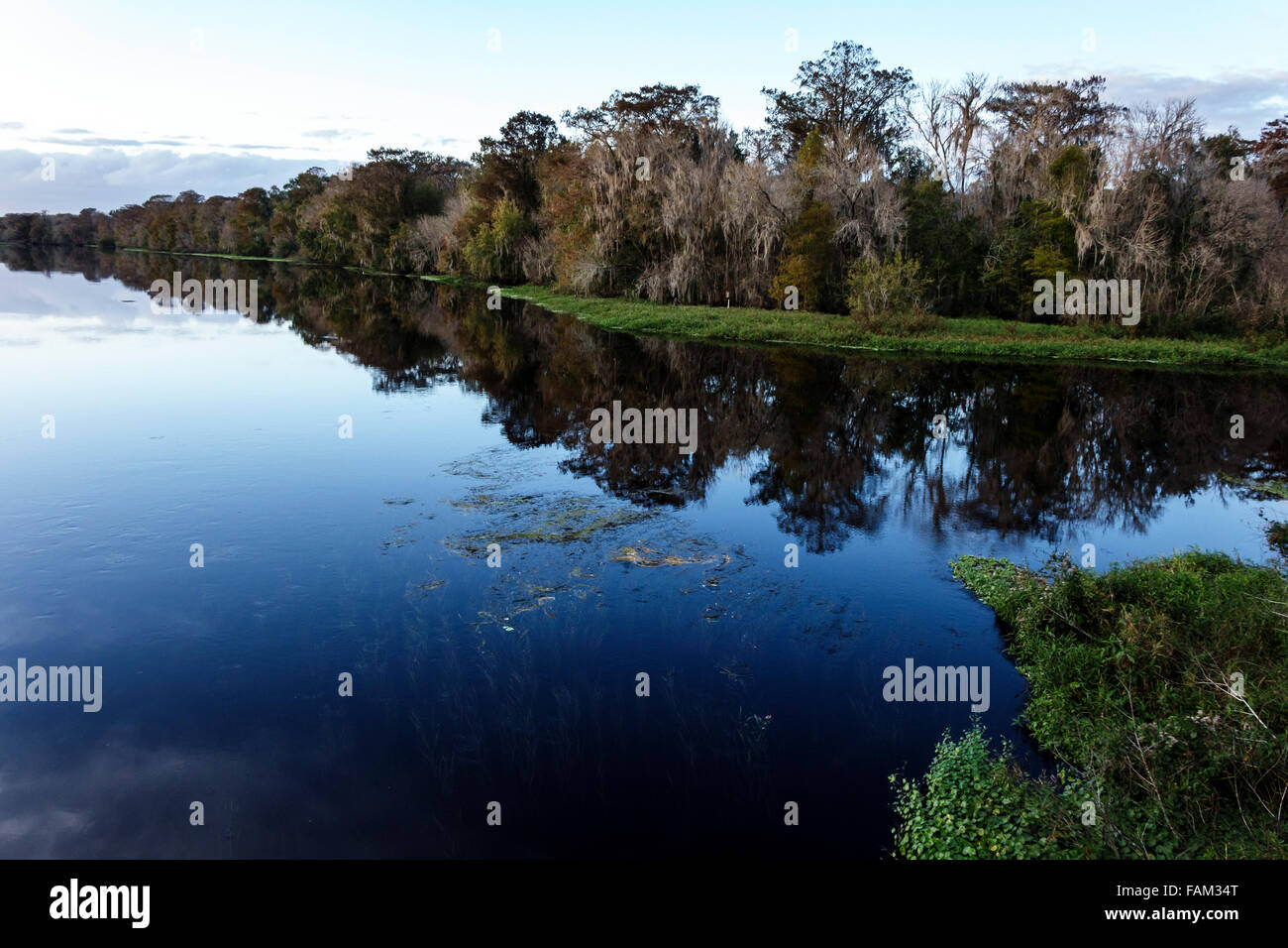 Florida Inverness,Withlacoochee River water,nature,natural,scenery