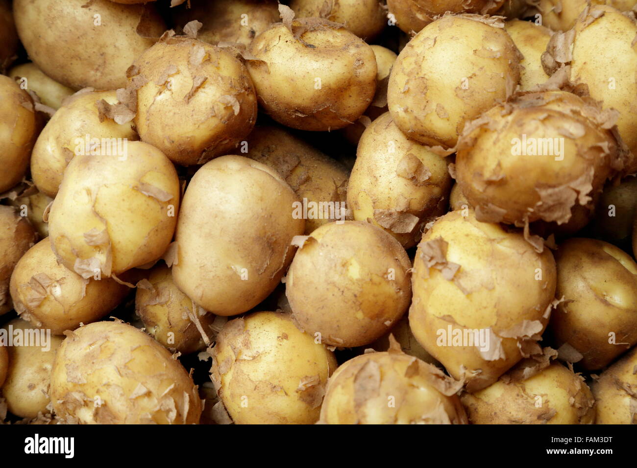 POTATO Stock Photo