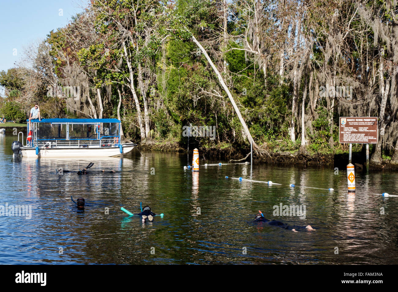 Florida Crystal River water,Kings Bay water,Crystal River water National Wildlife Refuge,water,natural scenery,boat,manatee snorkel tour,habitat,sanct Stock Photo