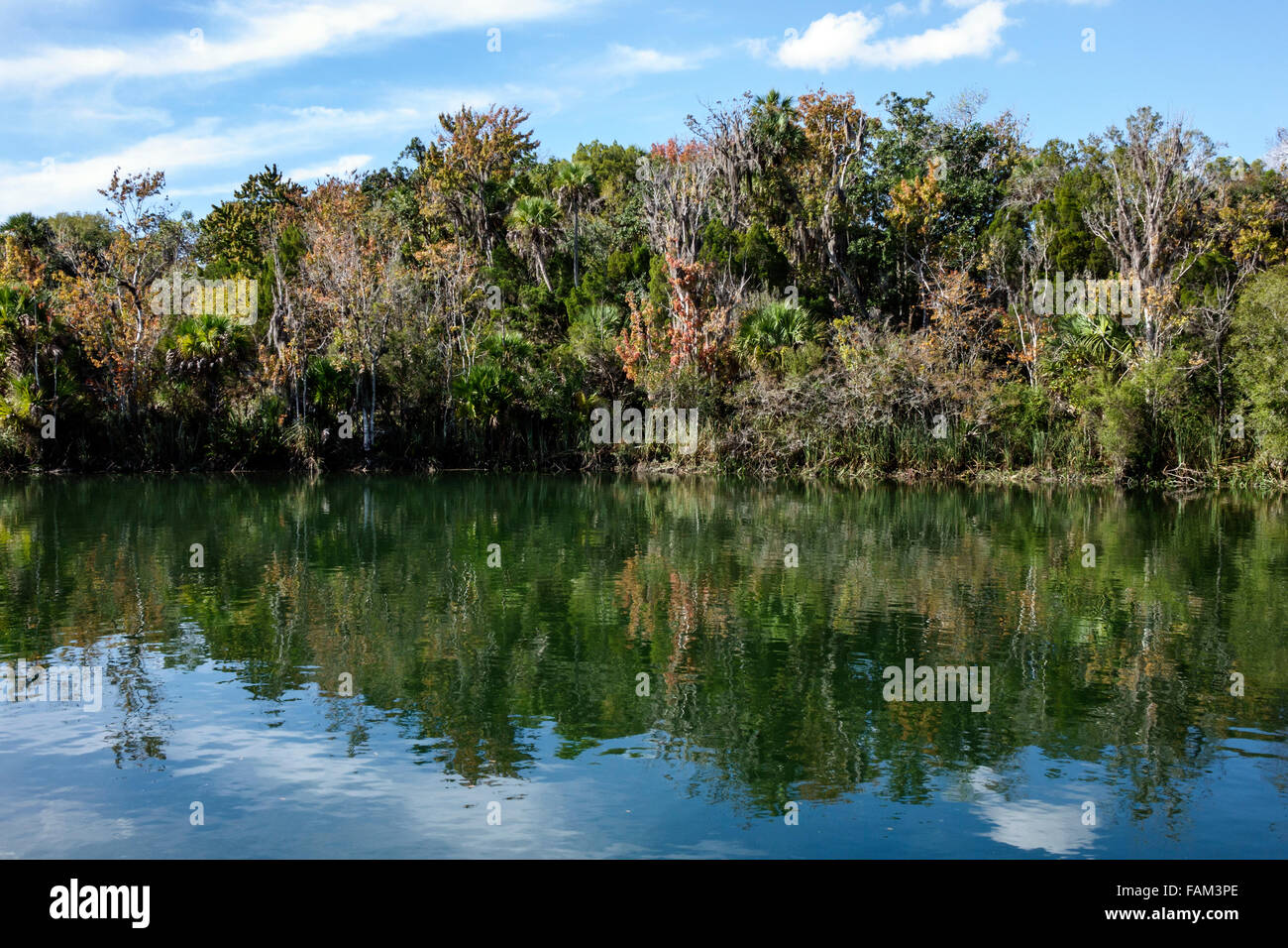 Crystal Key Florida Florida Crystal River water,Kings Bay water,Crystal River water ...