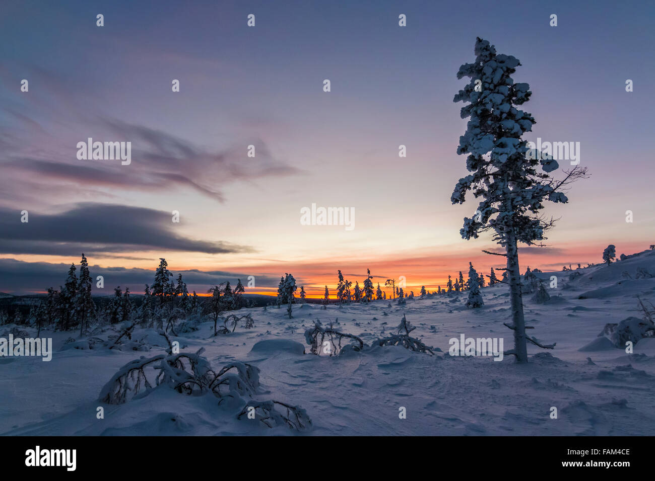 Winter evening in Finnish Lapland Stock Photo