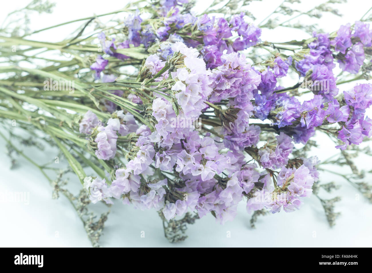 Beautiful statice flower bouquet on white background, stock photo Stock Photo Alamy