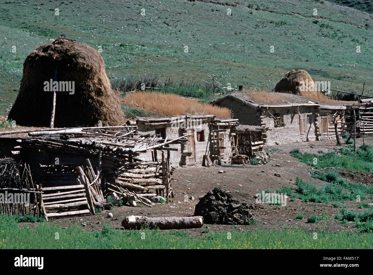 Kazakh farmhouse built out wood and mud in hills North of Urumqi, Xinjiang Province, China Stock Photo