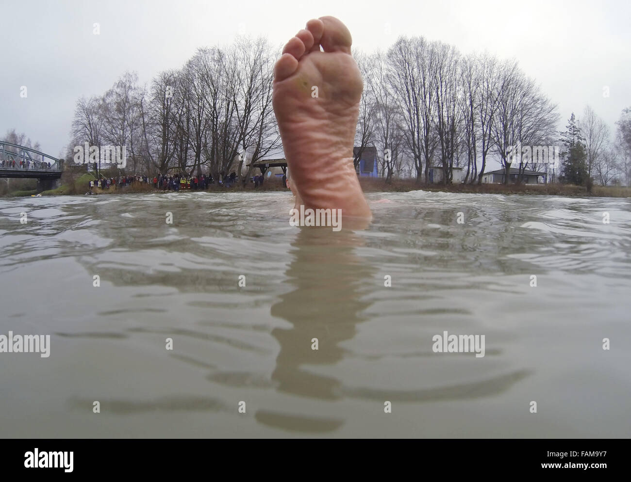 Seelze, Germany. 01st Jan, 2016. A foot of a swimmer taking part in the New Year swimming event held by the Sportgemeinschaft Letter von 1905 e.V. sports club in the Hanover-Linden branch canal in Seelze, Germany, 01 January 2016. Dozens of swimmers plunged into the cold water that measured around six degrees Celsius. Photo: JULIAN STRATENSCHULTE/dpa/Alamy Live News Stock Photo