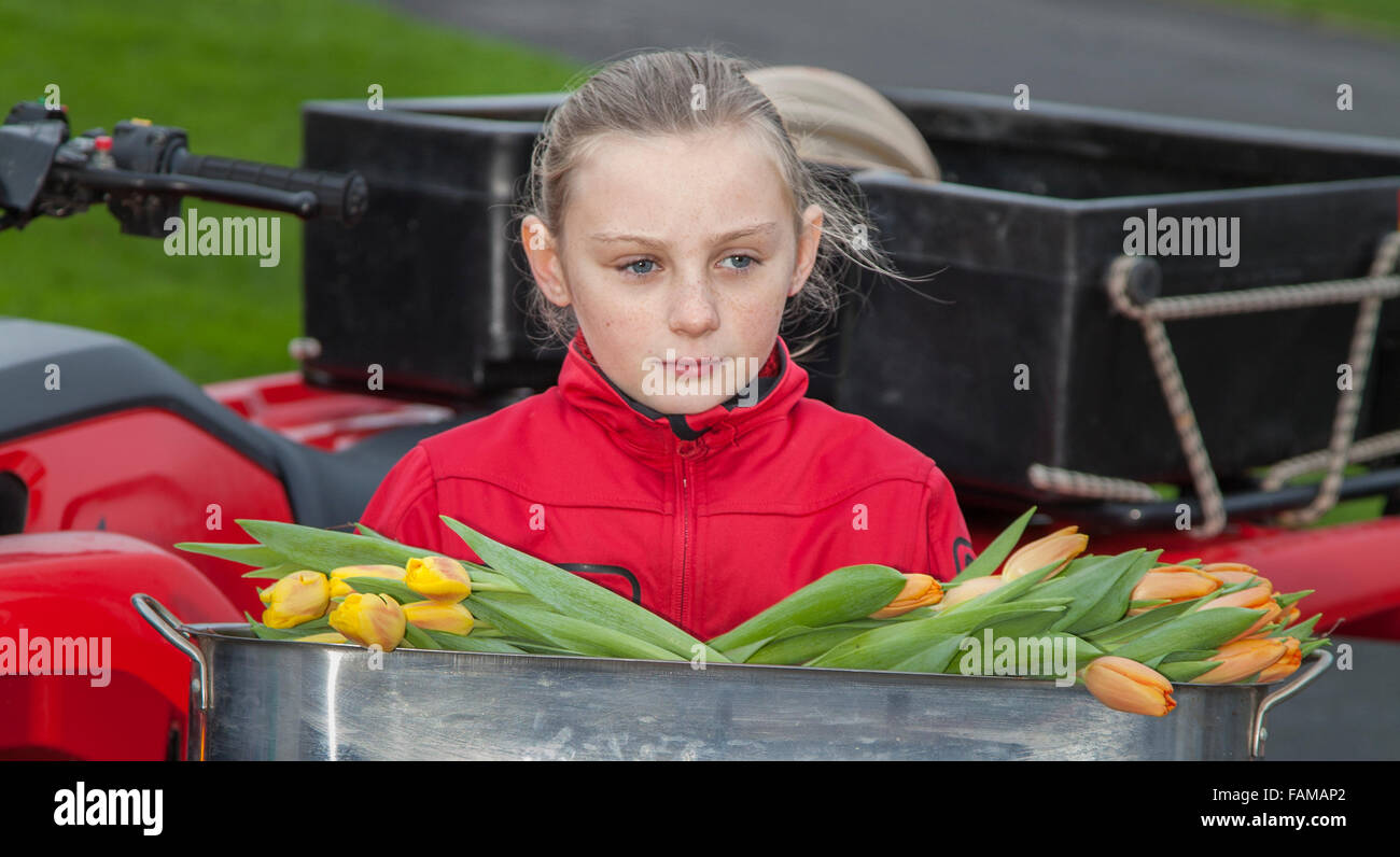 Kate Cunnigham, 11 years old leads the ceremony, carrying 27 tulips, during the ceremony of the Oars at the Southport Lifeboat Memorial.  A  New Year’s Day Event commemorating the worst lifeboat disaster in history which unfolded off Birkdale’s coast, with 27 lifeboat crew losing their lives on Dec 9 1886.  Organised by Jonathan Cunningham of Storm Consultancy who is passionate about Southport and the two amazing charities CLF and The Independent Lifeboat Trust. Stock Photo