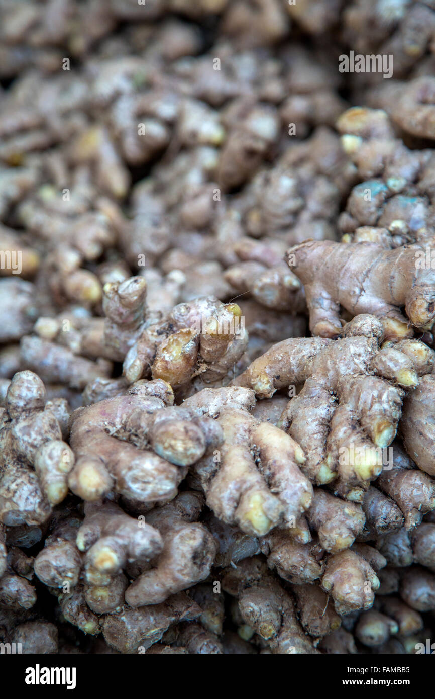 Ginger plant root hi-res stock photography and images - Alamy
