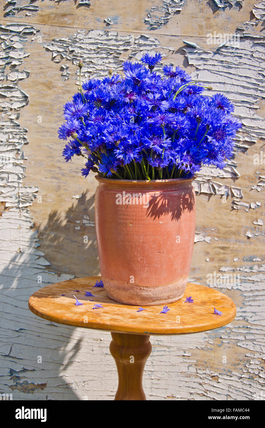 Brown clay vase full of blue cornflowers placed on stand outside with