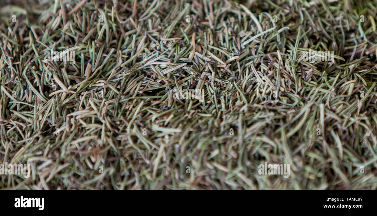 Closeup of the rosemary on the market Stock Photo Alamy