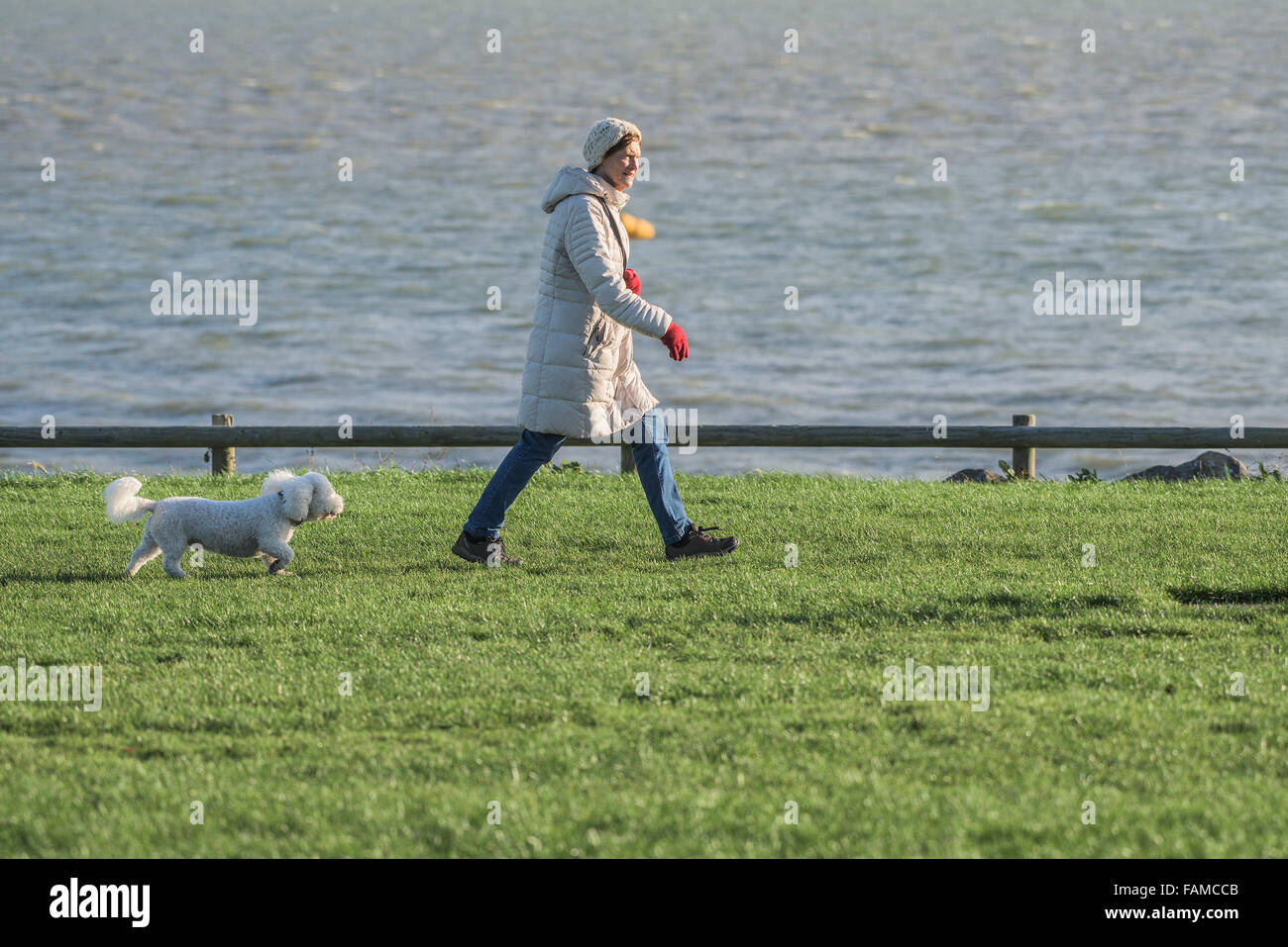 A woman walks her dog at East beach in Shoeburyness, Essex, UK. Stock Photo