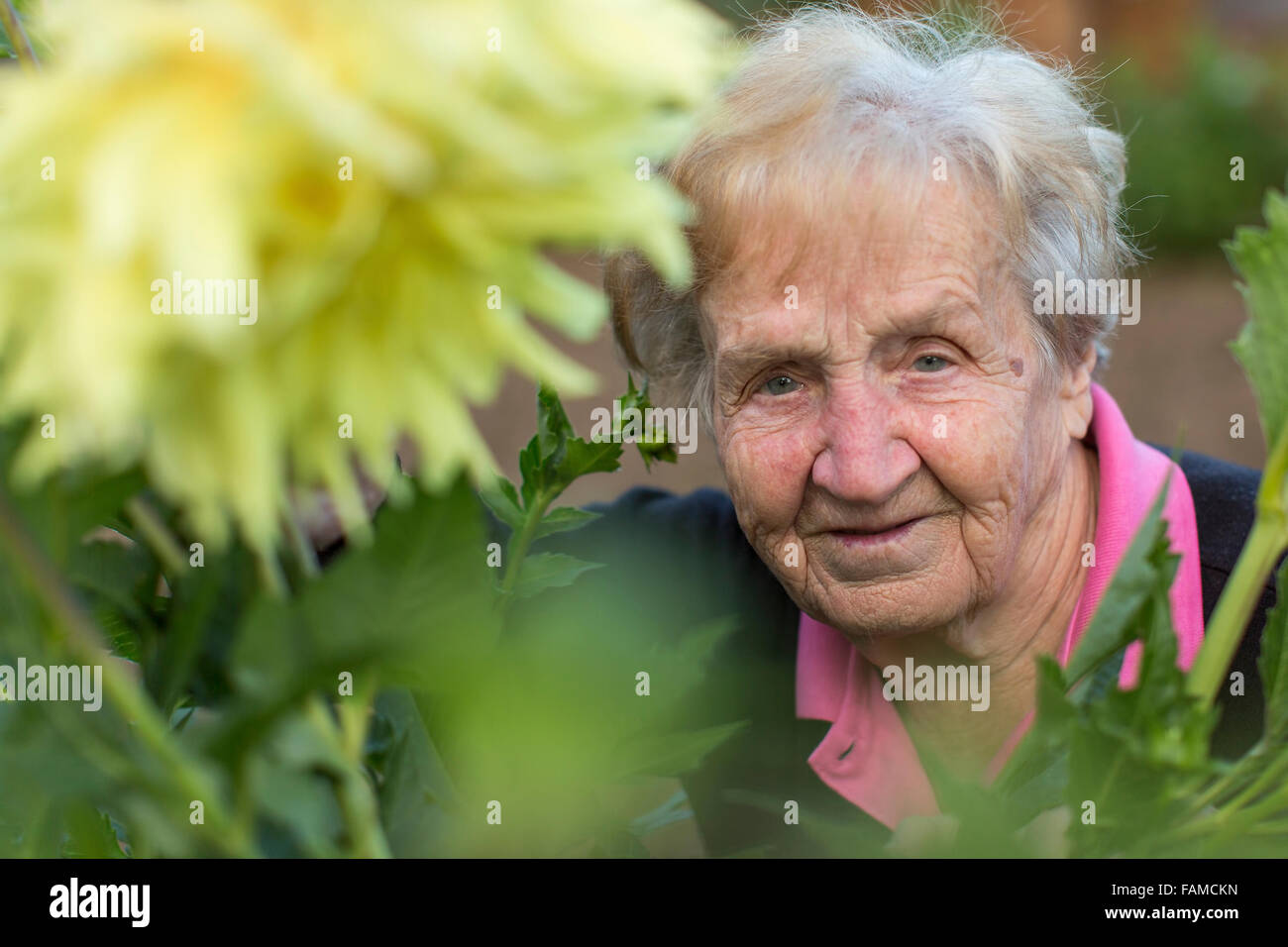 Portrait of an old woman in the garden. Stock Photo