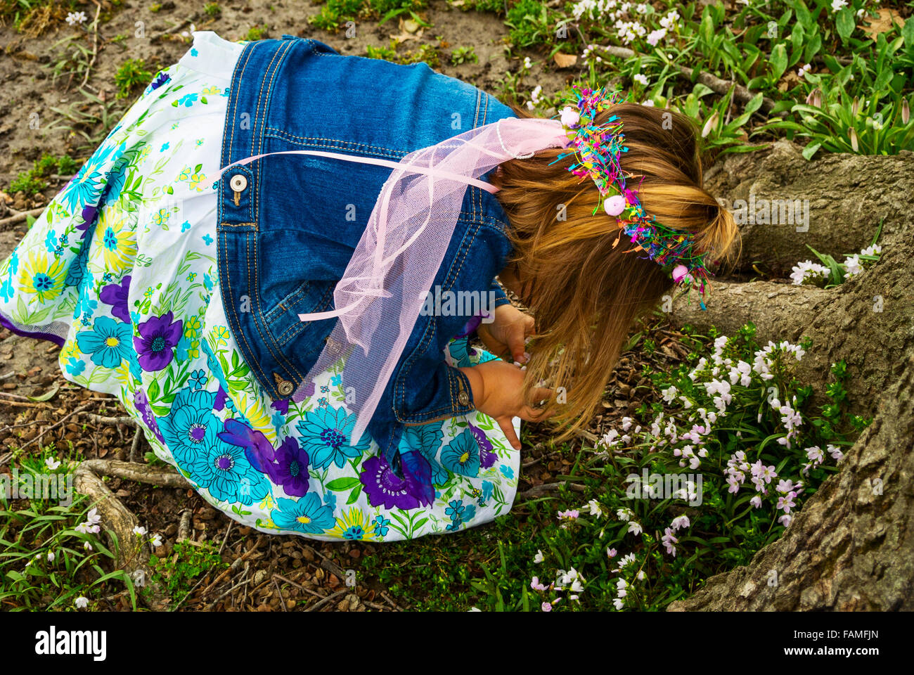 Girl picking flowers at the base of a tree in Sheridan, IN, USA  Photography by Jeffrey Wickett, NorthLight Photography LLC, www Stock Photo