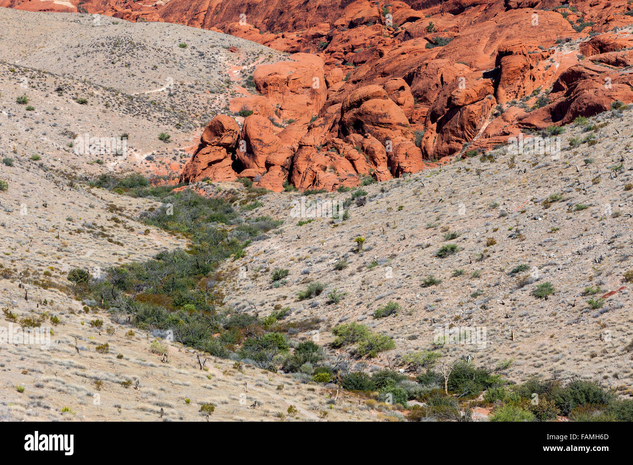 Red Rock Canyon, Nevada.  Calico Hills, Aztec Sandstone. Stock Photo