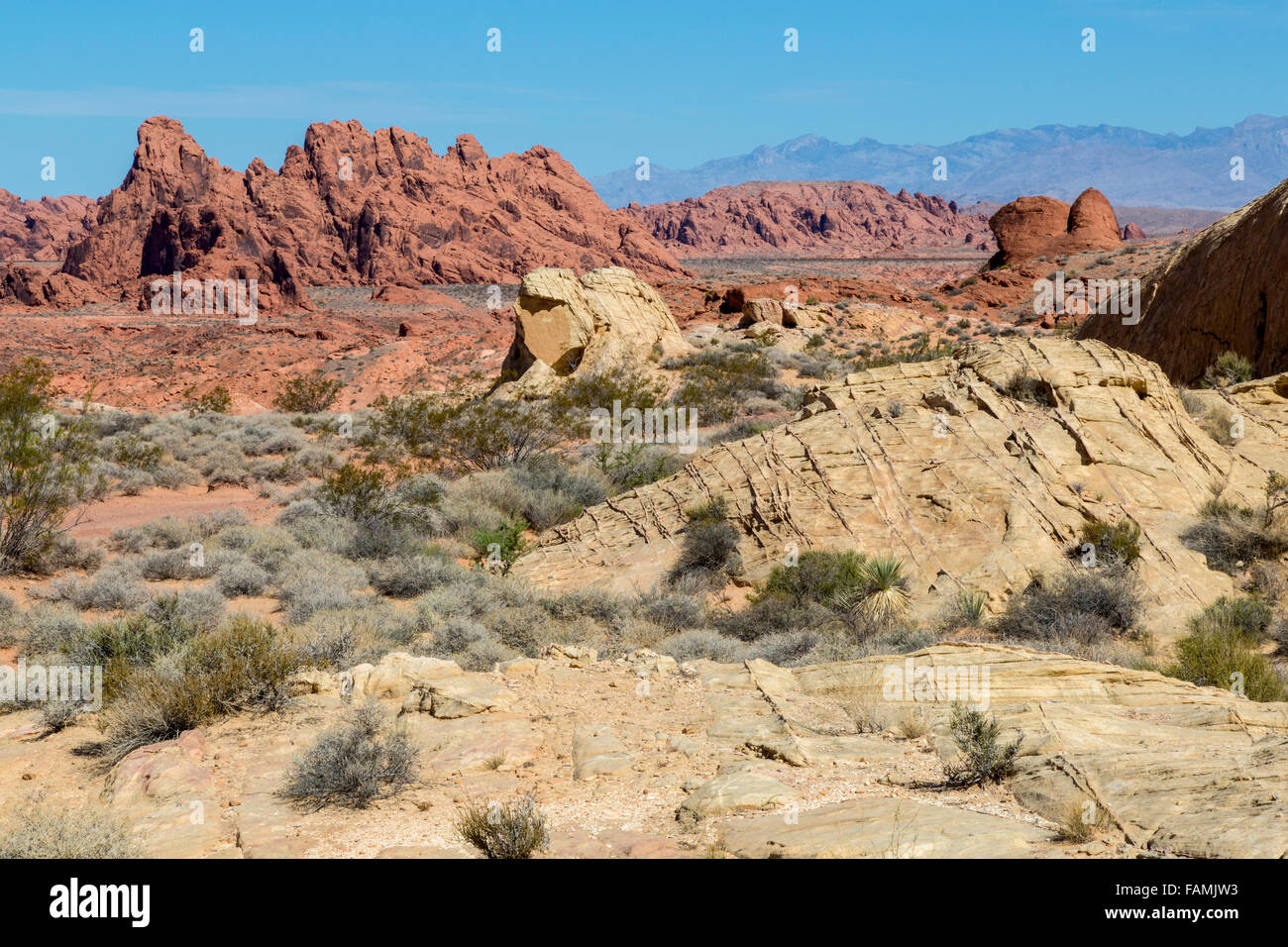 Valley of Fire, Nevada.  White Domes Trail. Stock Photo