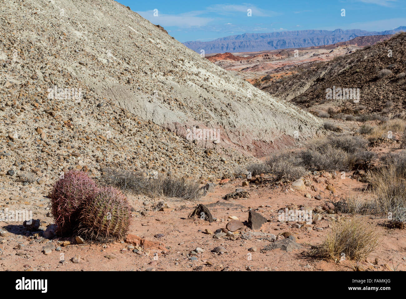 Valley of Fire, Nevada.  Trail to The Fire Wave.  Barrel Cactus lower left. Stock Photo