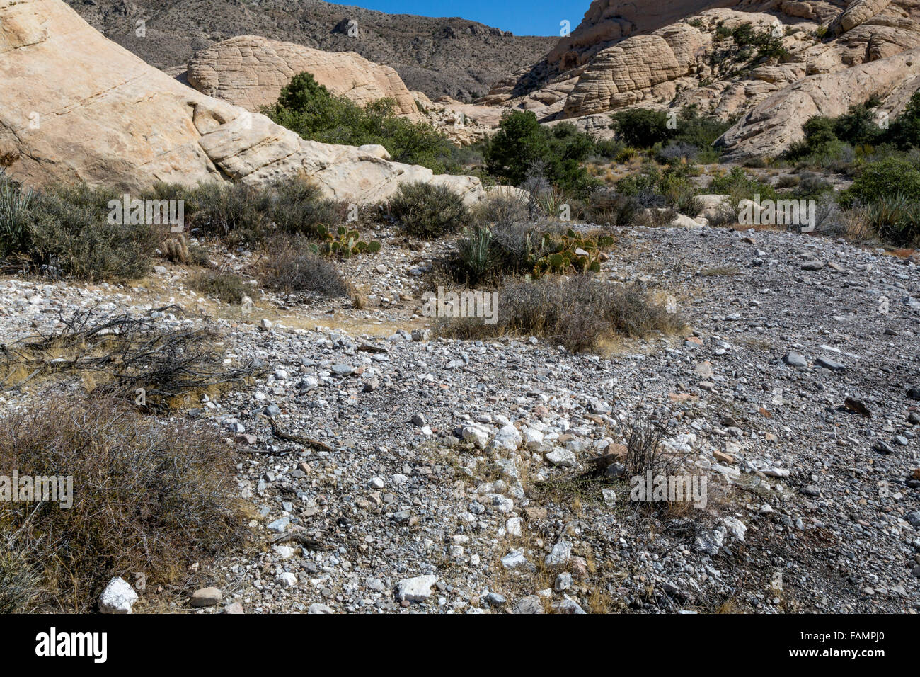 Red Rock Canyon, Nevada.  Agave Roasting Pit along Trail to Calico Tanks. Stock Photo