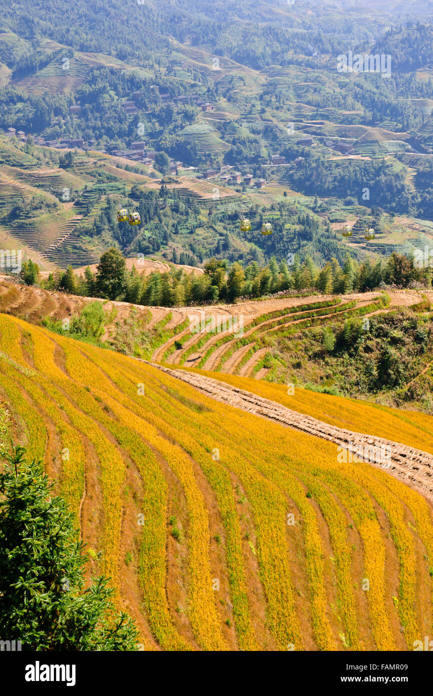 Jinkeng (Dazhai) Red Yao Terraced Fields,Surrounding Area,Rice Terraces ...