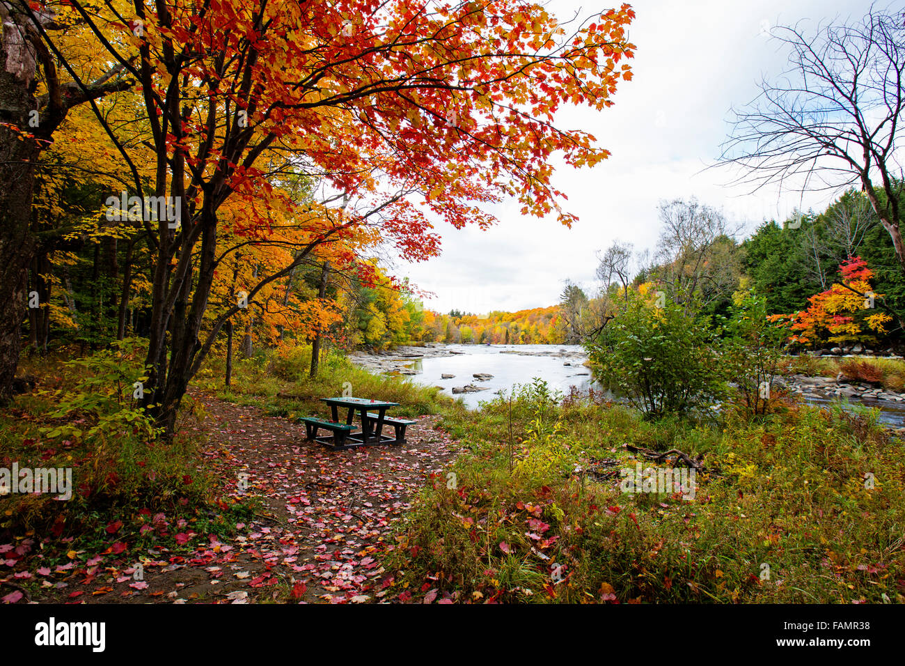 Spectacular, colorful autumn landscape in Parc Regional de la Riviere ...